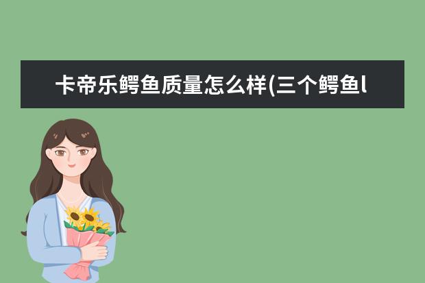 卡帝乐鳄鱼质量怎么样(三个鳄鱼logo哪个品牌最好)