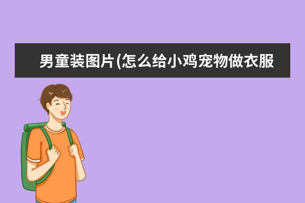 男童装图片(怎么给小鸡宠物做衣服)