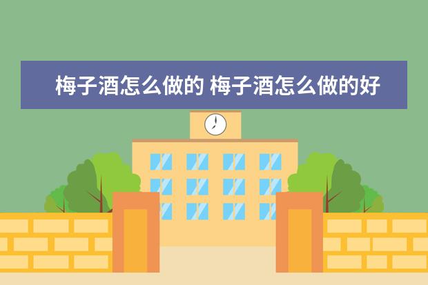 梅子酒怎么做的 梅子酒怎么做的好喝