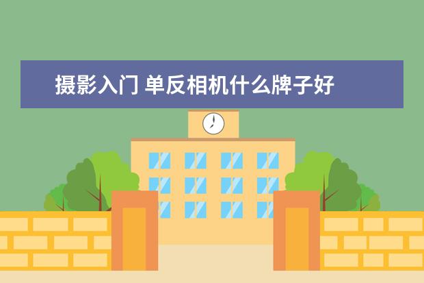 摄影入门 单反相机什么牌子好