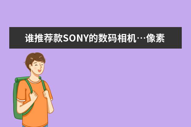 谁推荐款SONY的数码相机…像素高一点的