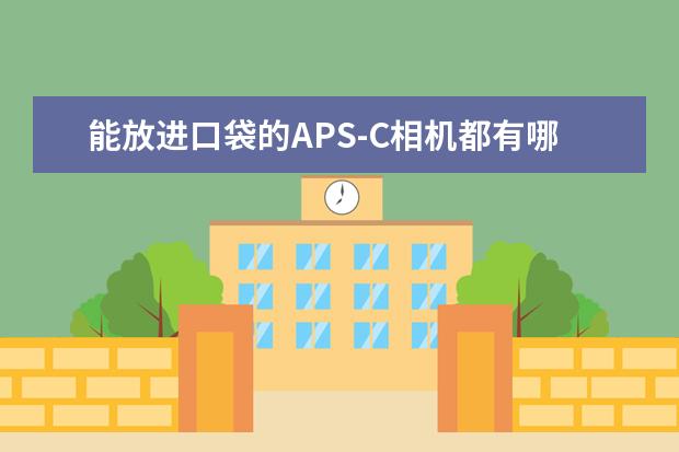 能放进口袋的APS-C相机都有哪些推荐(除了理光GR系列)？