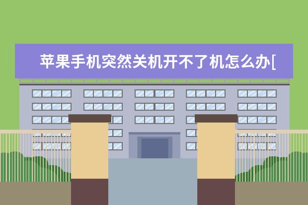 苹果手机突然关机开不了机怎么办[苹果手机突然关机开不了机怎么办充电闪黑苹果]
