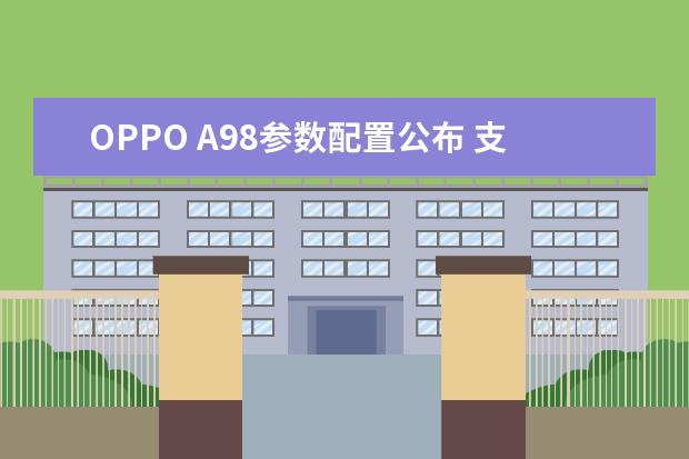 OPPO A98参数配置公布 支持2160Hz高频PWM调光
