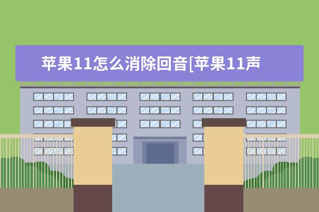 苹果11怎么消除回音[苹果11声音有回音]
