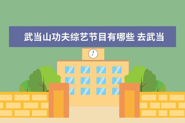武当山功夫综艺节目有哪些 去武当山学功夫,要多少费用?