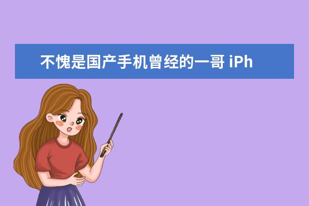 不愧是国产手机曾经的一哥 iPhone