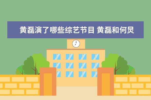 黄磊演了哪些综艺节目 黄磊和何炅演的什么综艺节目