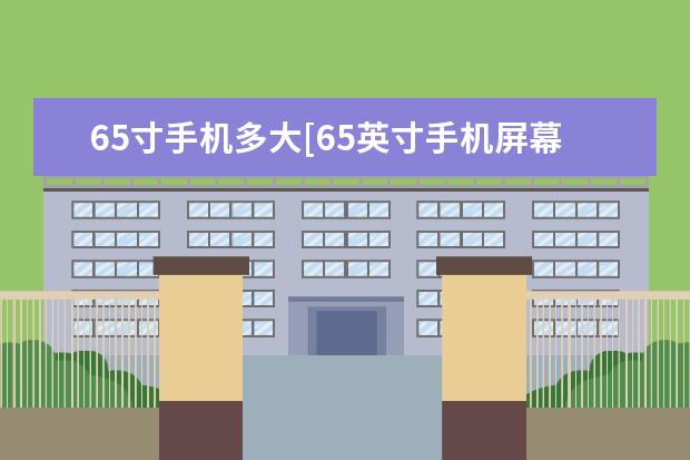 65寸手机多大[65英寸手机屏幕有多大] iphone面部识别设置移低一点怎么办