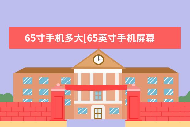 65寸手机多大[65英寸手机屏幕有多大] ace1手机怎么样