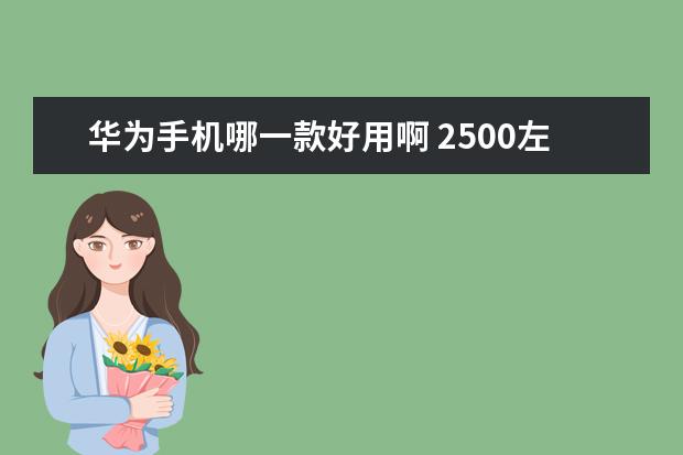 华为手机哪一款好用啊 2500左右手机排行榜