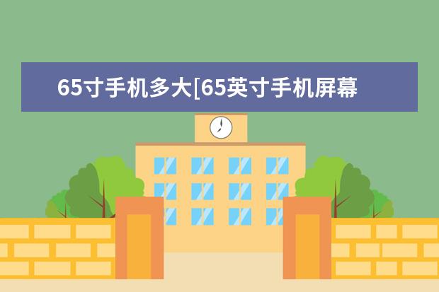65寸手机多大[65英寸手机屏幕有多大] 手机的SA模式