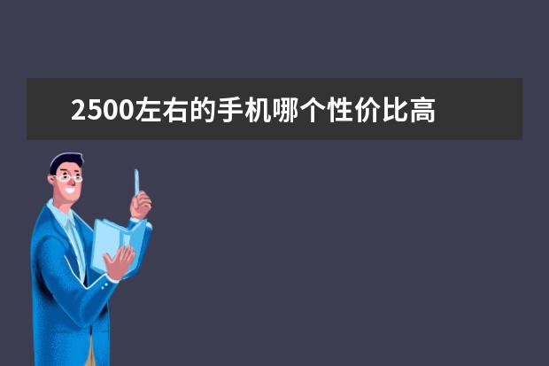 2500左右的手机哪个性价比高 第二名应该没见过