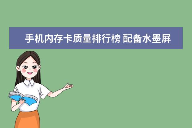 手机内存卡质量排行榜 配备水墨屏可持续使用一周