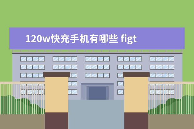120w快充手机有哪些 figtl10是华为什么型号手机