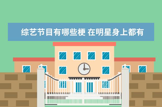 综艺节目有哪些梗 在明星身上都有哪些梗?