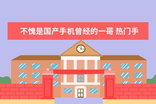 不愧是国产手机曾经的一哥 热门手机排行榜前十名