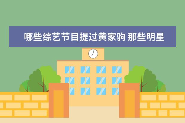 哪些综艺节目提过黄家驹 那些明星是双子座的