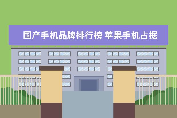 国产手机品牌排行榜 苹果手机占据三位