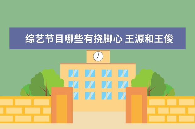 综艺节目哪些有挠脚心 王源和王俊凯是什么关系?