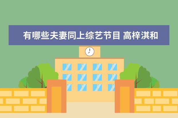 有哪些夫妻同上综艺节目 高梓淇和蔡琳的这段跨国恋画上了句点,娱乐圈还有哪...