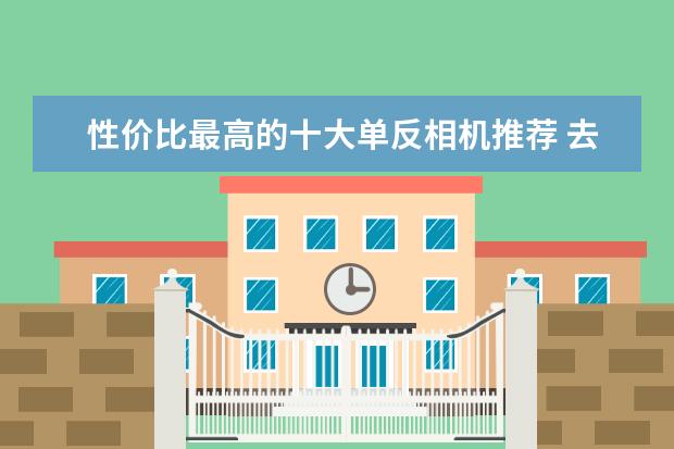 性价比最高的十大单反相机推荐 去旅行带什么相机器材比较好
