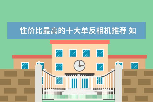 性价比最高的十大单反相机推荐 如何避免弄脏单反相机的CMOS传感器