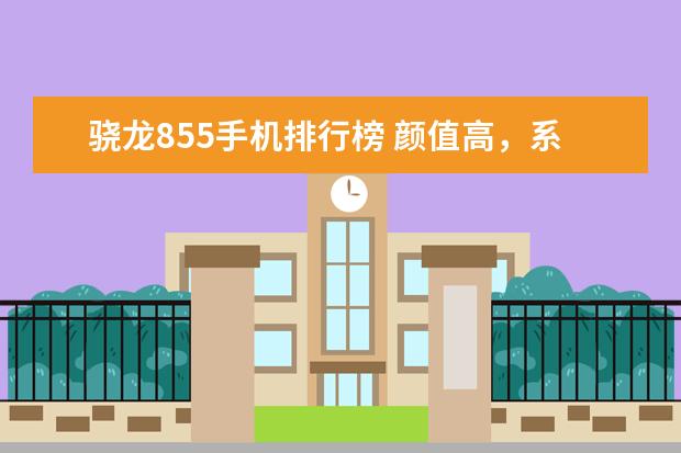 骁龙855手机排行榜 颜值高，系统流畅(华为3款上榜)