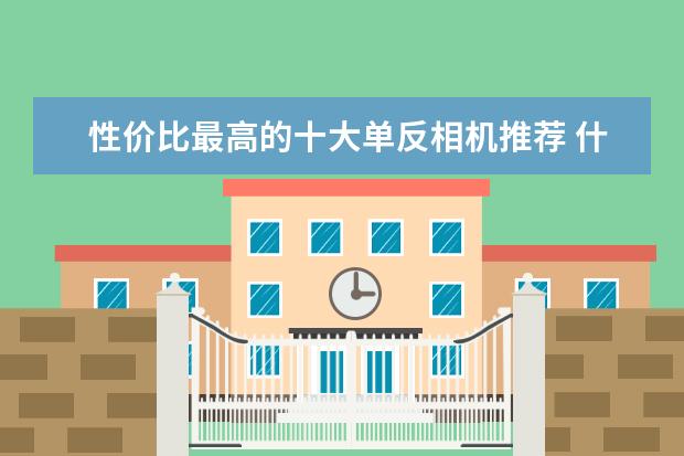 性价比最高的十大单反相机推荐 什么是单反相机“标头”