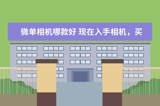 微单相机哪款好 现在入手相机，买微单还是单反