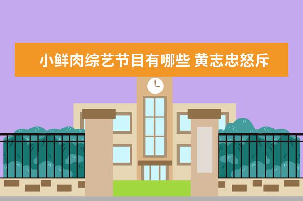 小鲜肉综艺节目有哪些 黄志忠怒斥小鲜肉是什么节目?