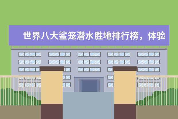 世界八大鲨笼潜水胜地排行榜，体验惊险刺激的与鲨共舞 周口好玩的地方排行榜