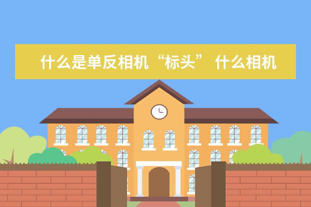 什么是单反相机“标头” 什么相机适合拍小孩