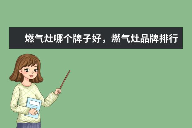燃气灶哪个牌子好，燃气灶品牌排行榜 V5第三