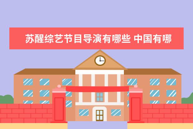 苏醒综艺节目导演有哪些 中国有哪些著名的经纪公司?