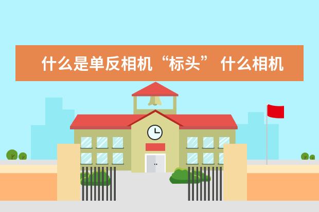 什么是单反相机“标头” 什么相机适合拍小孩