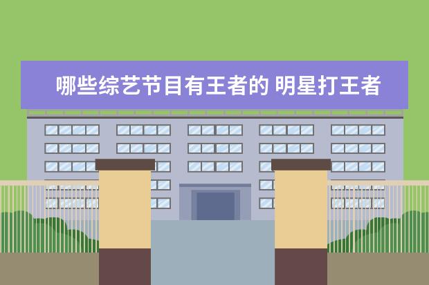 哪些综艺节目有王者的 明星打王者荣耀的综艺节目叫什么