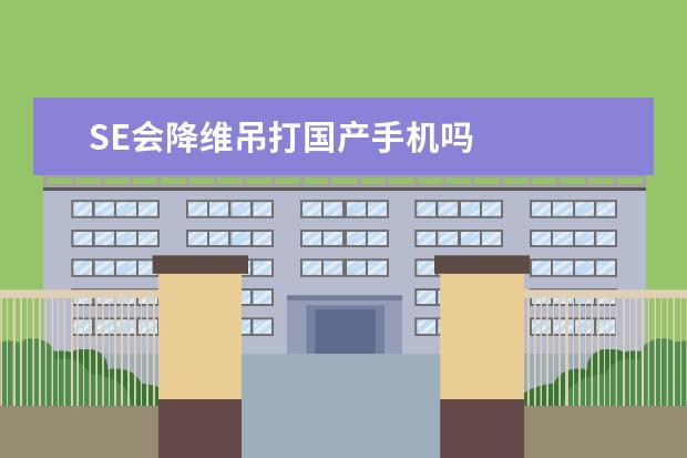 SE会降维吊打国产手机吗