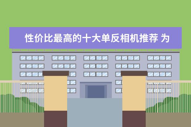 性价比最高的十大单反相机推荐 为什么我一直推荐全画幅单反相机