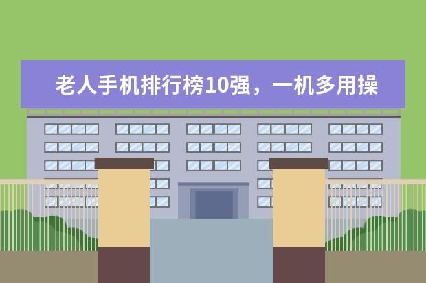 老人手机排行榜10强，一机多用操作简单 从购机补贴到景区门票打折，国产手机缘何承载更多情感