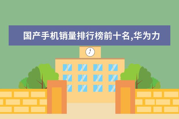 国产手机销量排行榜前十名,华为力压小米,乐视垫底 7寸以上大屏手机排行