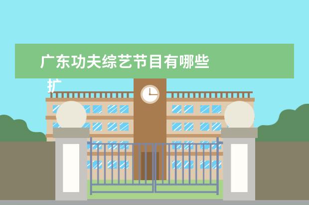 广东功夫综艺节目有哪些 
  扩展资料：