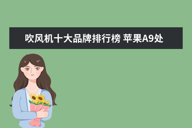 吹风机十大品牌排行榜 苹果A9处理器碾压众生