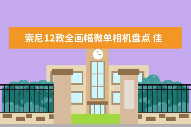 索尼12款全画幅微单相机盘点 佳能篇