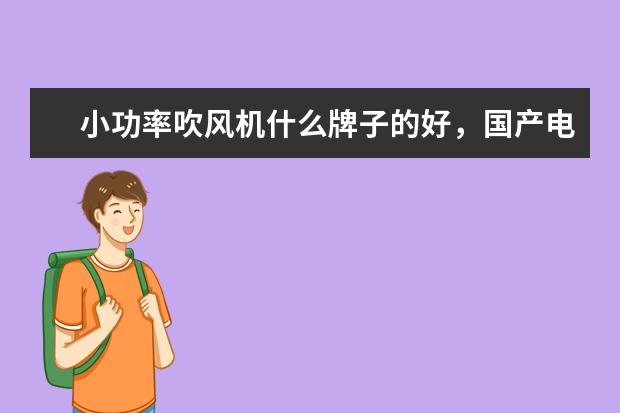 小功率吹风机什么牌子的好，国产电吹风机十大名牌排名(附最新排行榜前十名单) 世界乒乓球排行榜