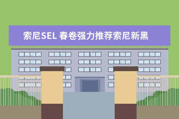 索尼SEL 春卷强力推荐索尼新黑卡RX100