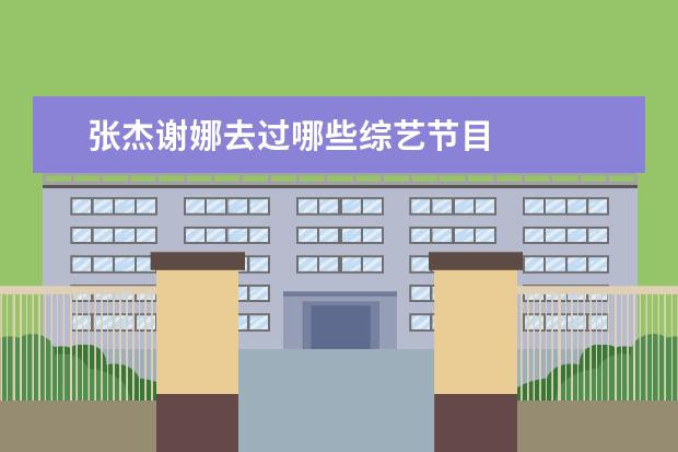 张杰谢娜去过哪些综艺节目 
  扩展资料：