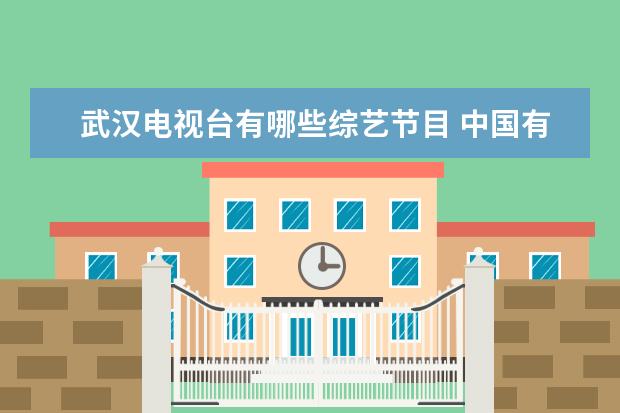 武汉电视台有哪些综艺节目 中国有哪些电视台