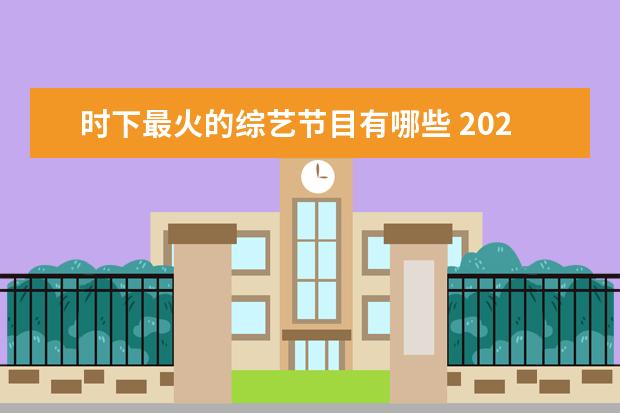 时下最火的综艺节目有哪些 2020年最火综艺有哪些?