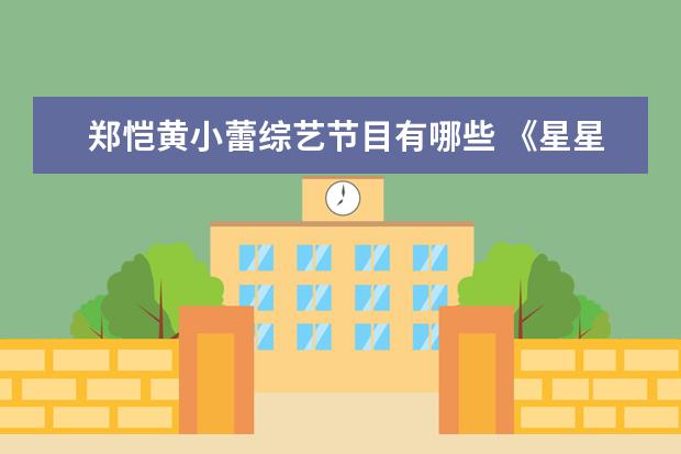 郑恺黄小蕾综艺节目有哪些 《星星的约定》郑恺给师傅出“难题”,黄小蕾机智化...